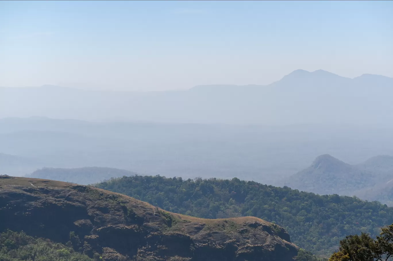 Photo of Nelliyampathy By Kavya Kannan