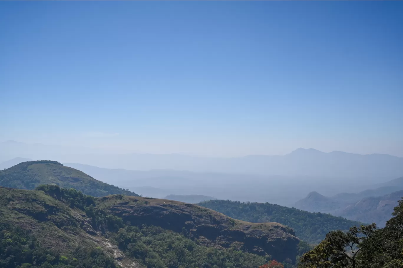 Photo of Nelliyampathy By Kavya Kannan