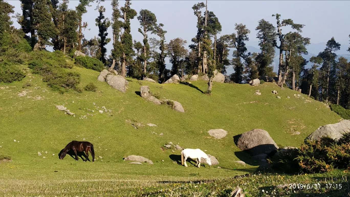 Photo of Churdhar By Atul rohilla