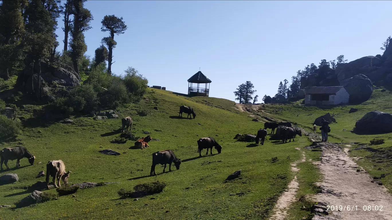 Photo of Churdhar By Atul rohilla