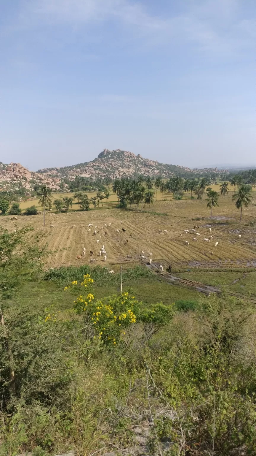 Photo of Hampi By Gurleen Kaur Alang