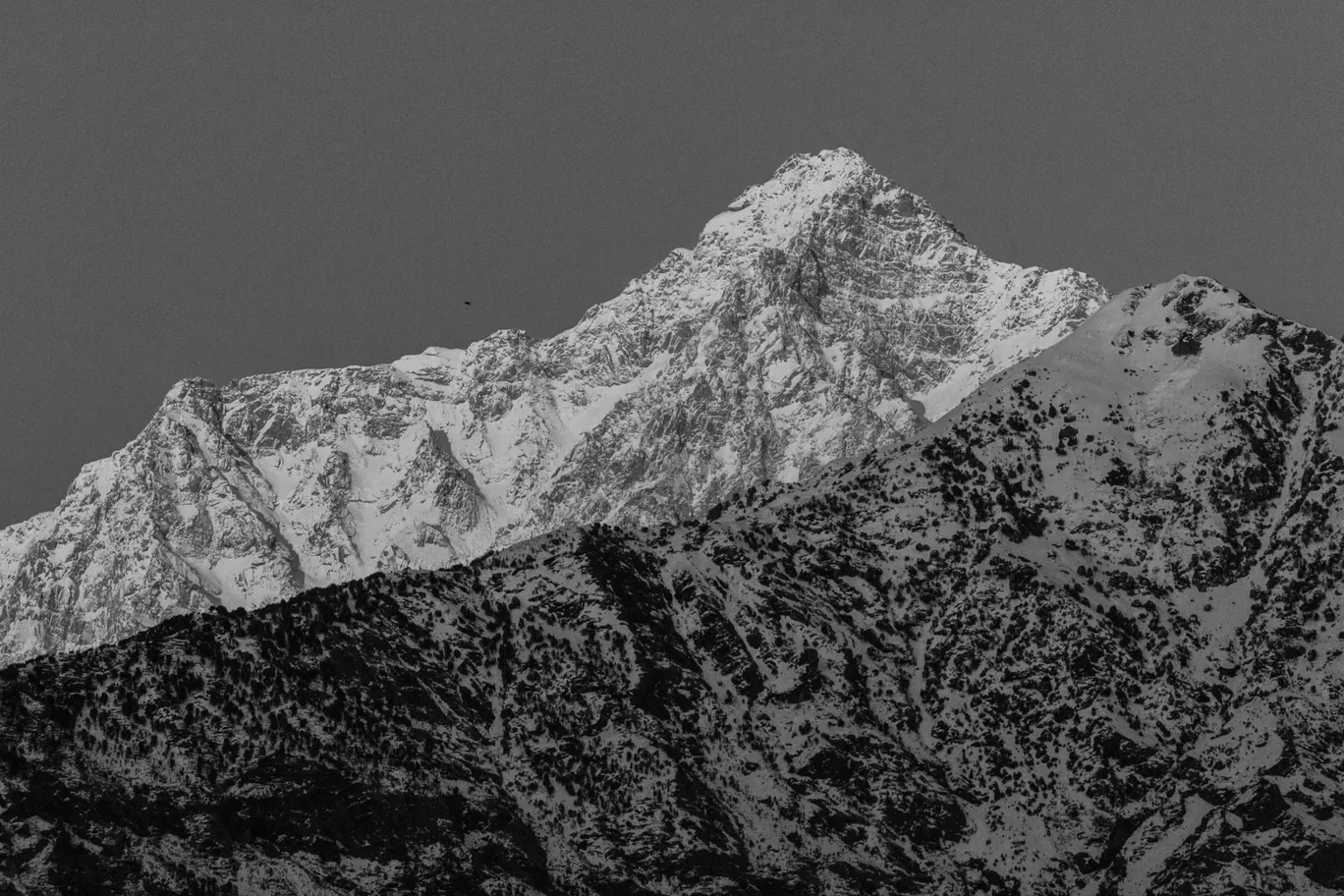 Photo of Dharamshala By Mayank Awasthi