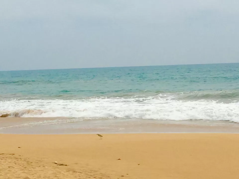 Photo of Sri Lanka By Lohith Ramachandra
