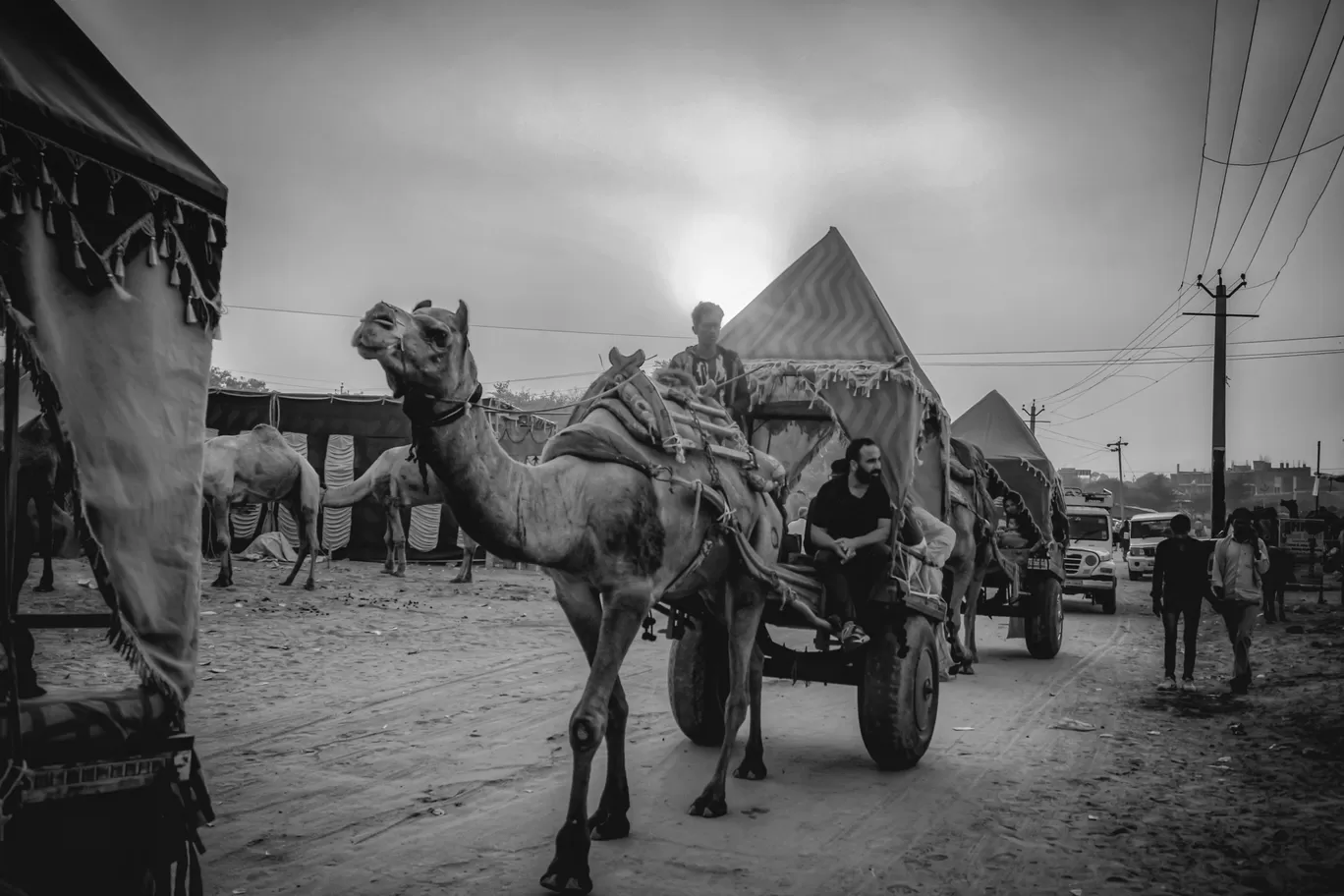 Photo of Pushkar By Mridupowan Baishya