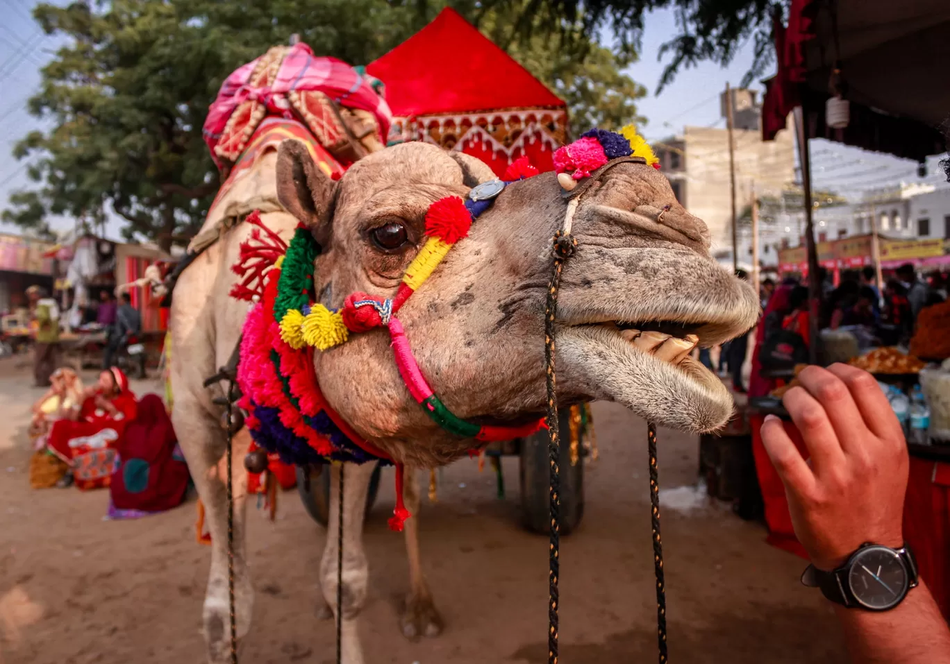 Photo of Pushkar By Mridupowan Baishya