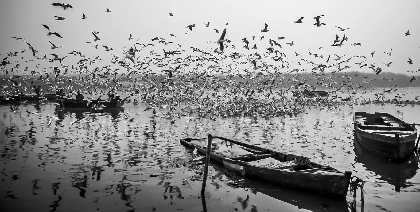 Photo of Yamuna Ghat By Mridupowan Baishya