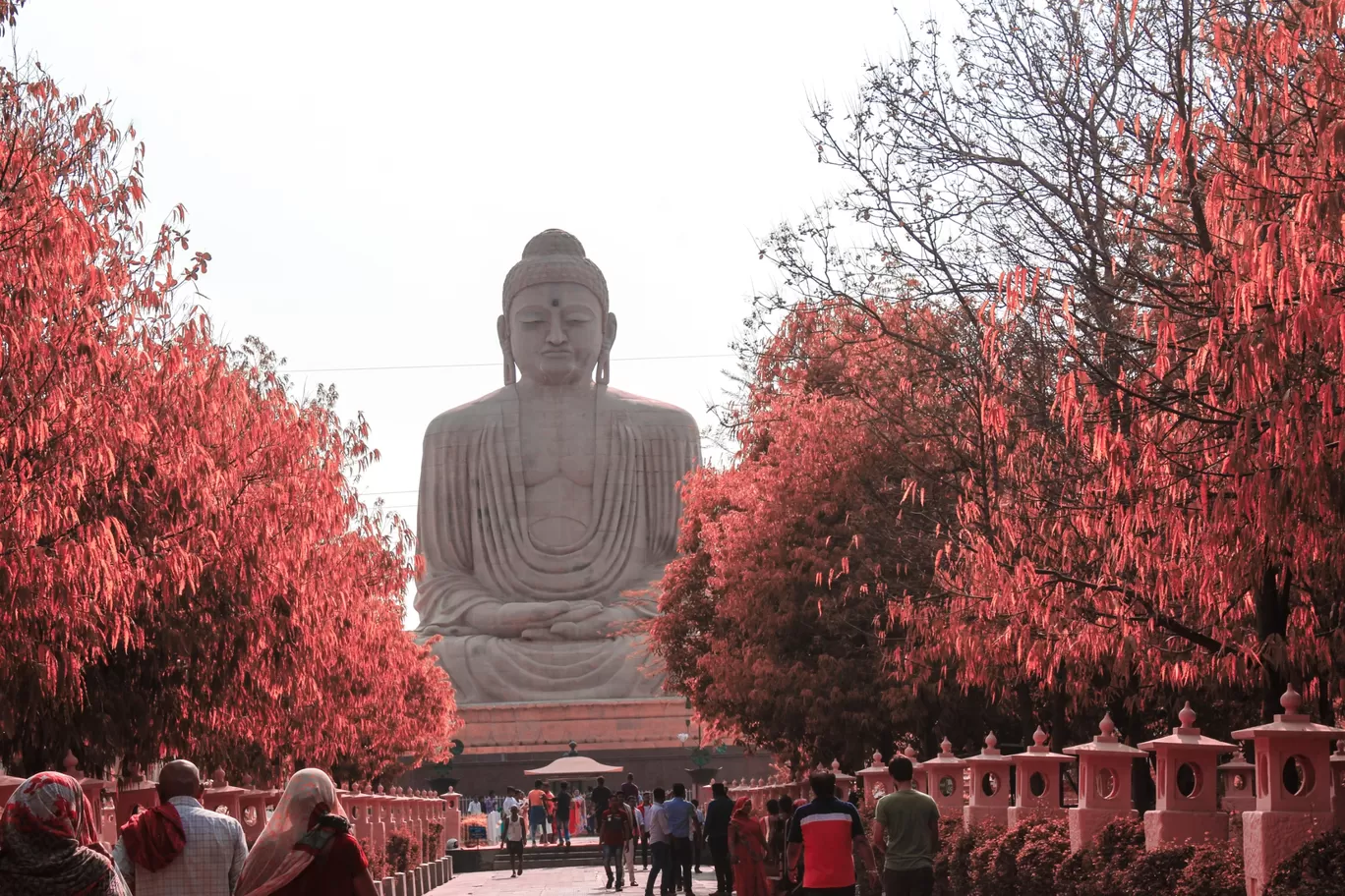 Photo of Bodh Gaya By Explore_with_Mohini