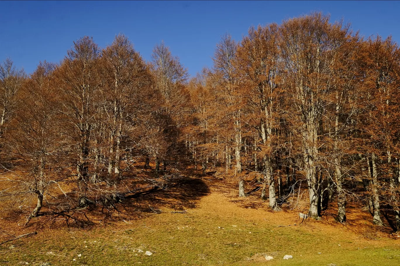 Photo of Monte Autore By Explore_with_Mohini