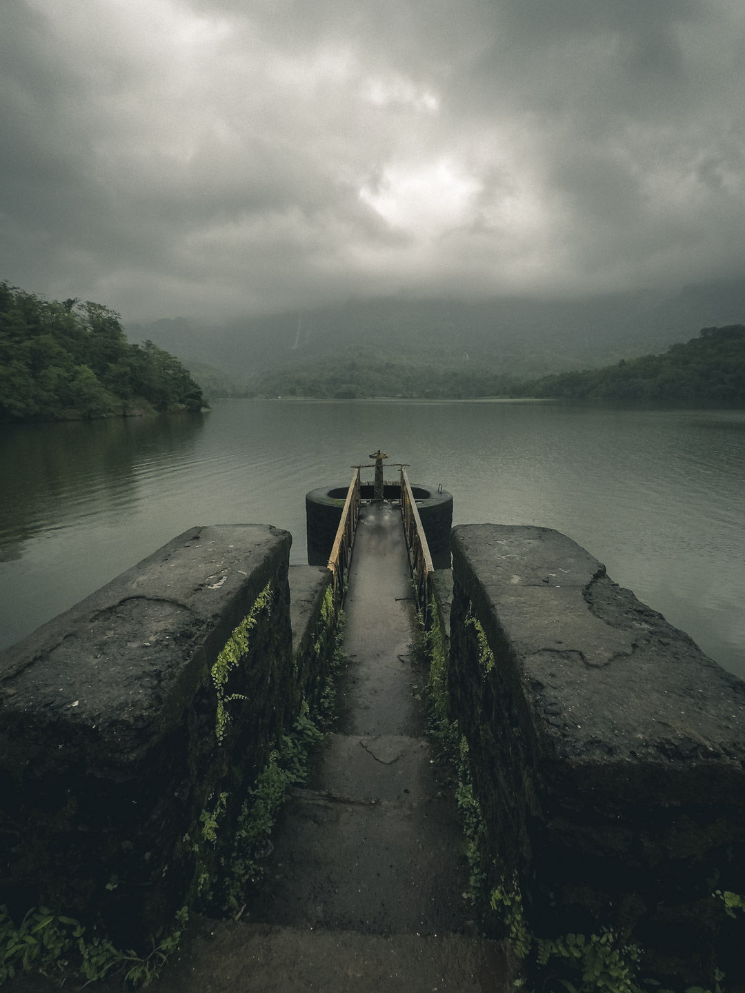 Photo of Pali By Gary Sequeira