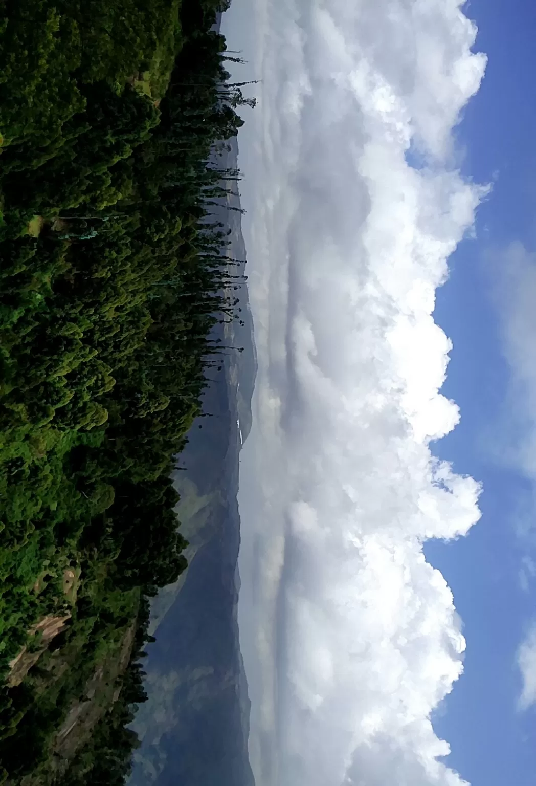 Photo of Kodaikanal By Shikha Khare 