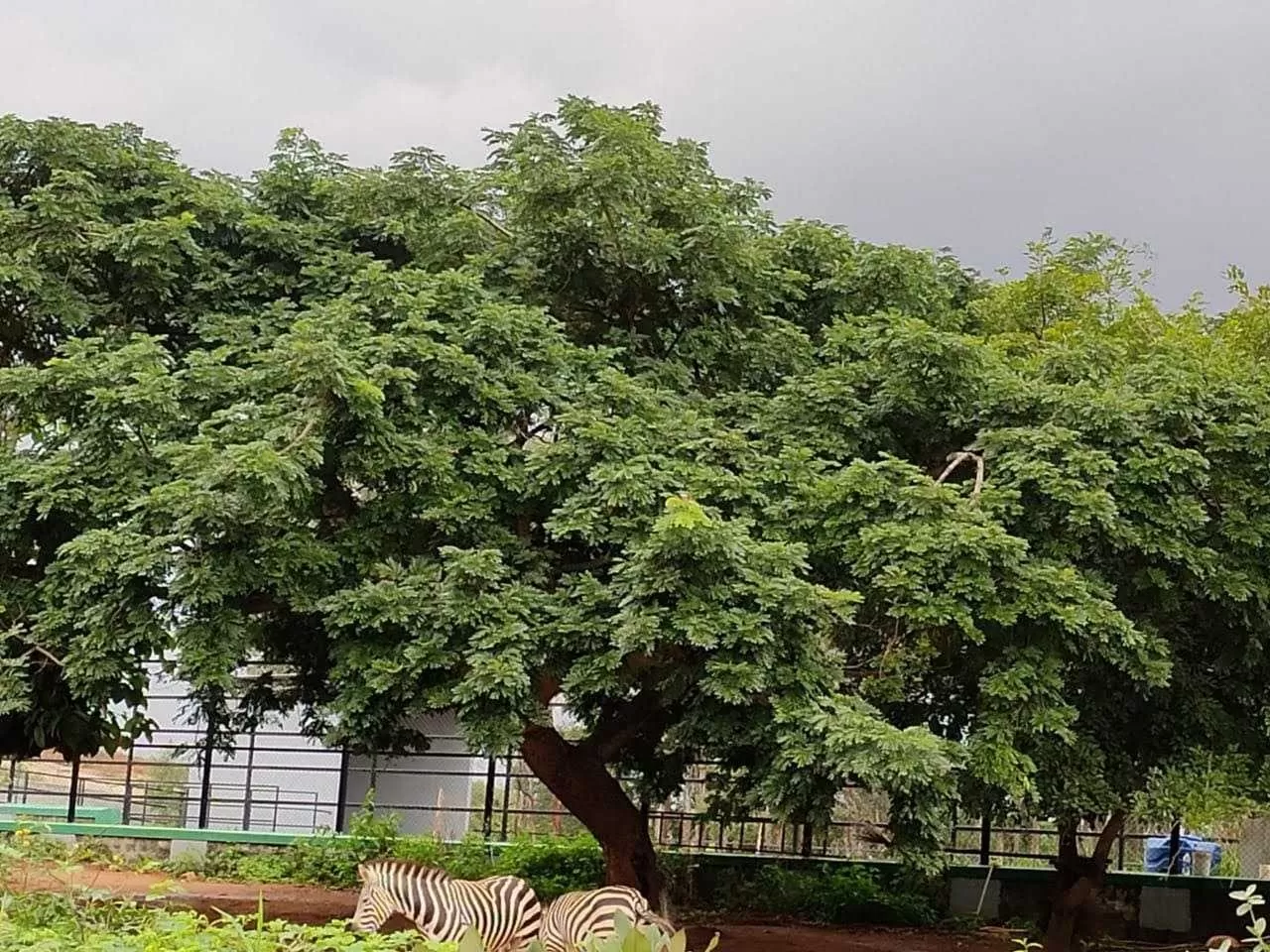 Photo of Bannerghatta Biological Park By Shikha Khare 