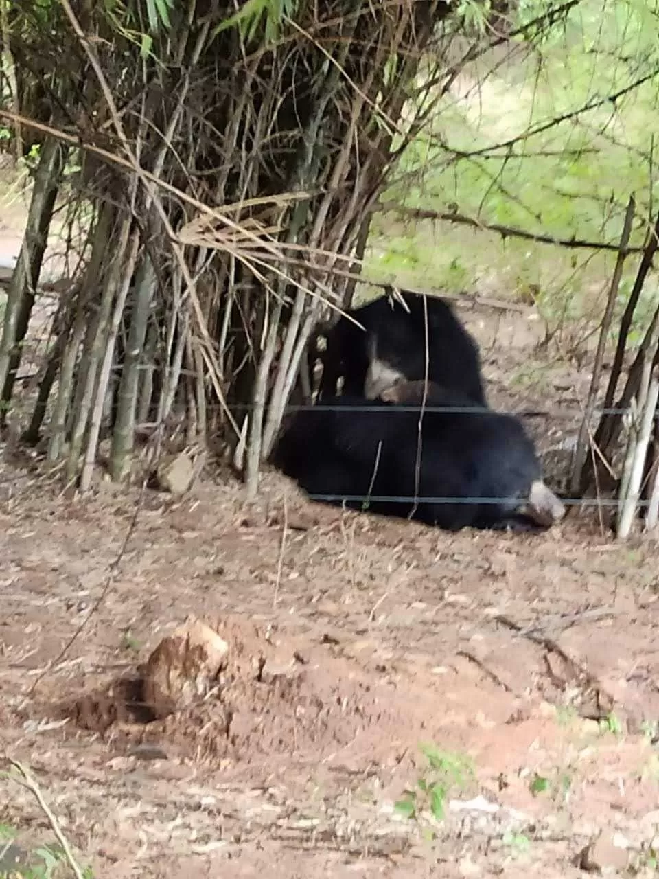 Photo of Bannerghatta Biological Park By Shikha Khare 