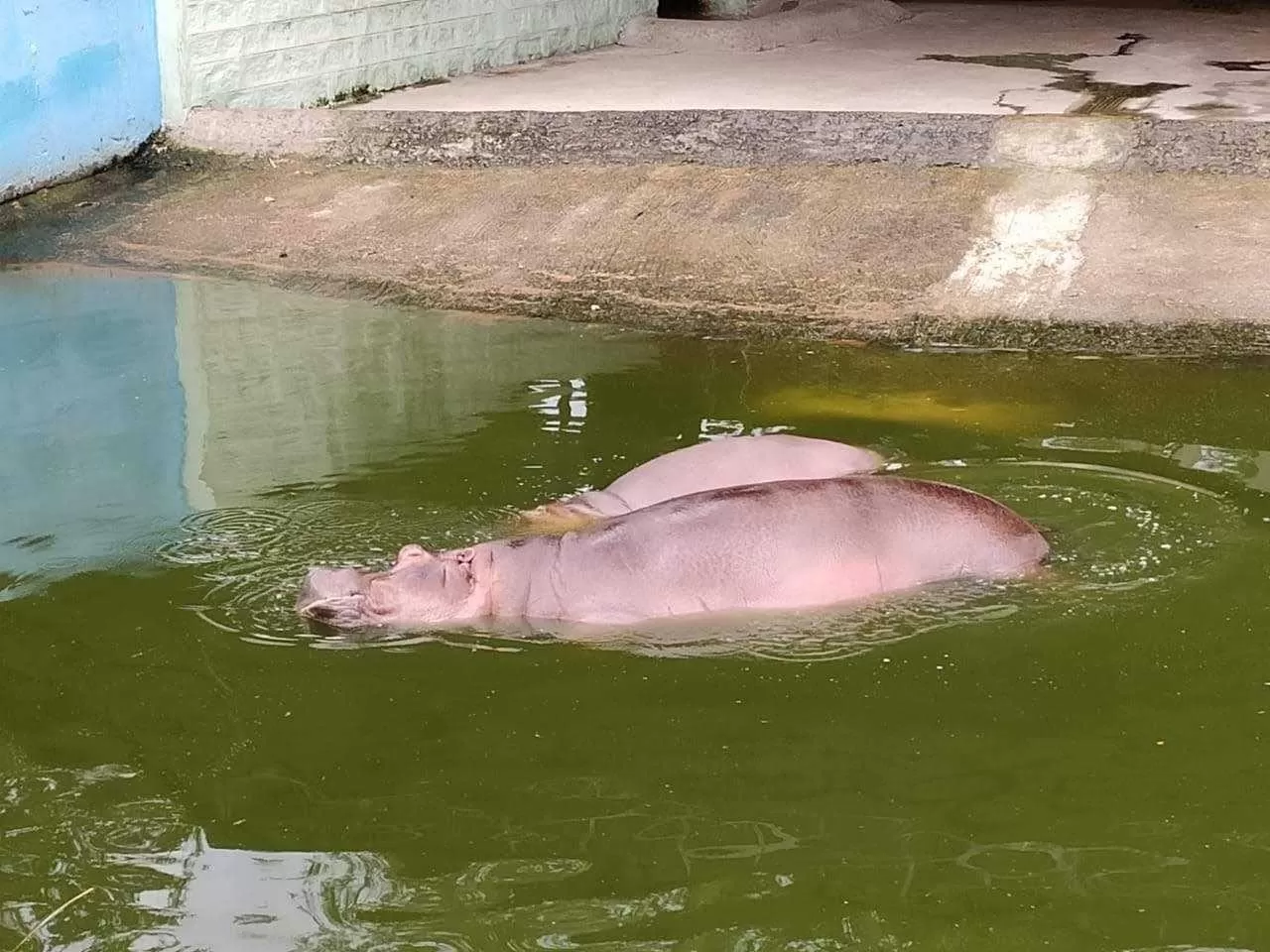 Photo of Bannerghatta Biological Park By Shikha Khare 