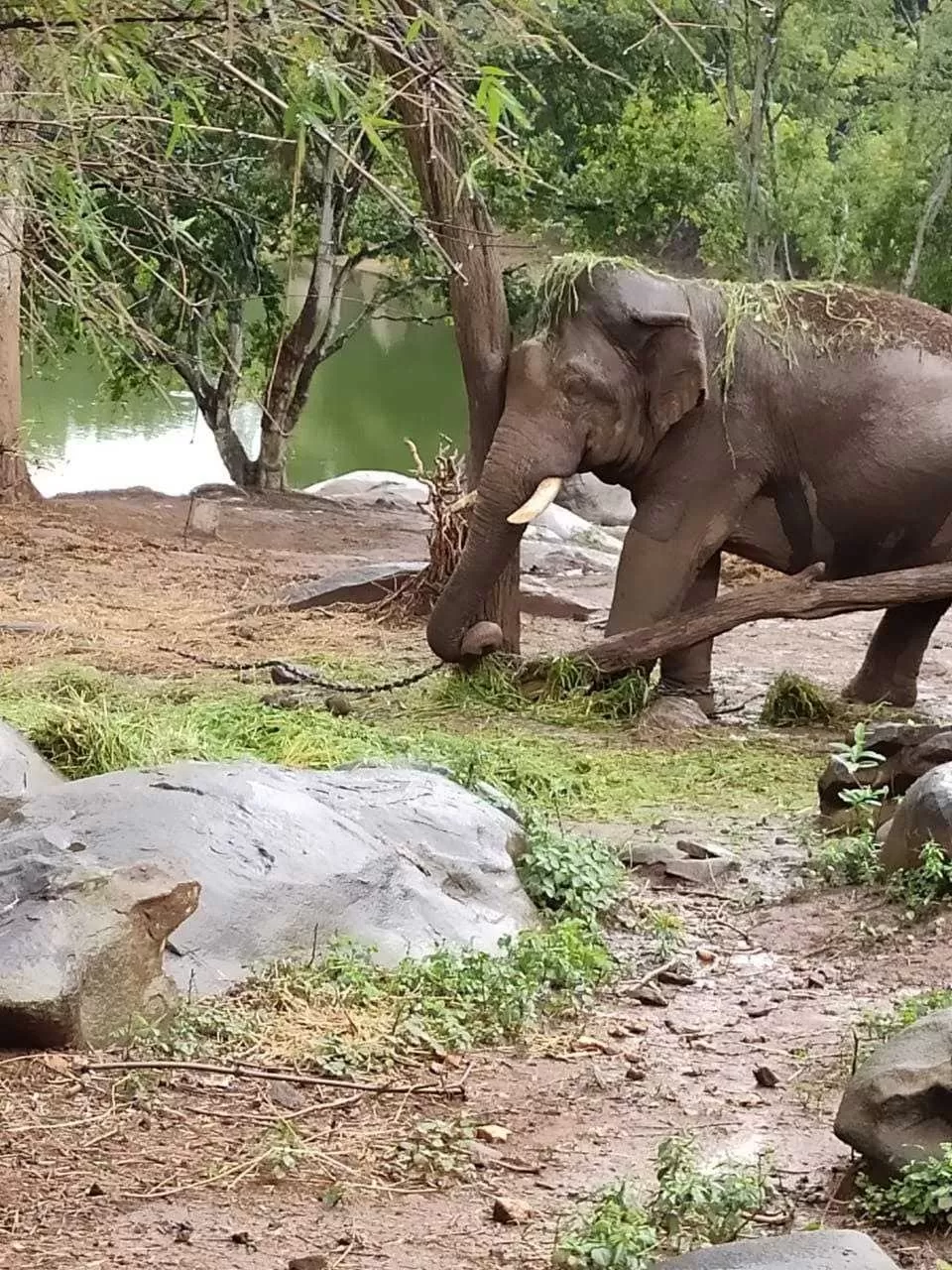 Photo of Bannerghatta Biological Park By Shikha Khare 