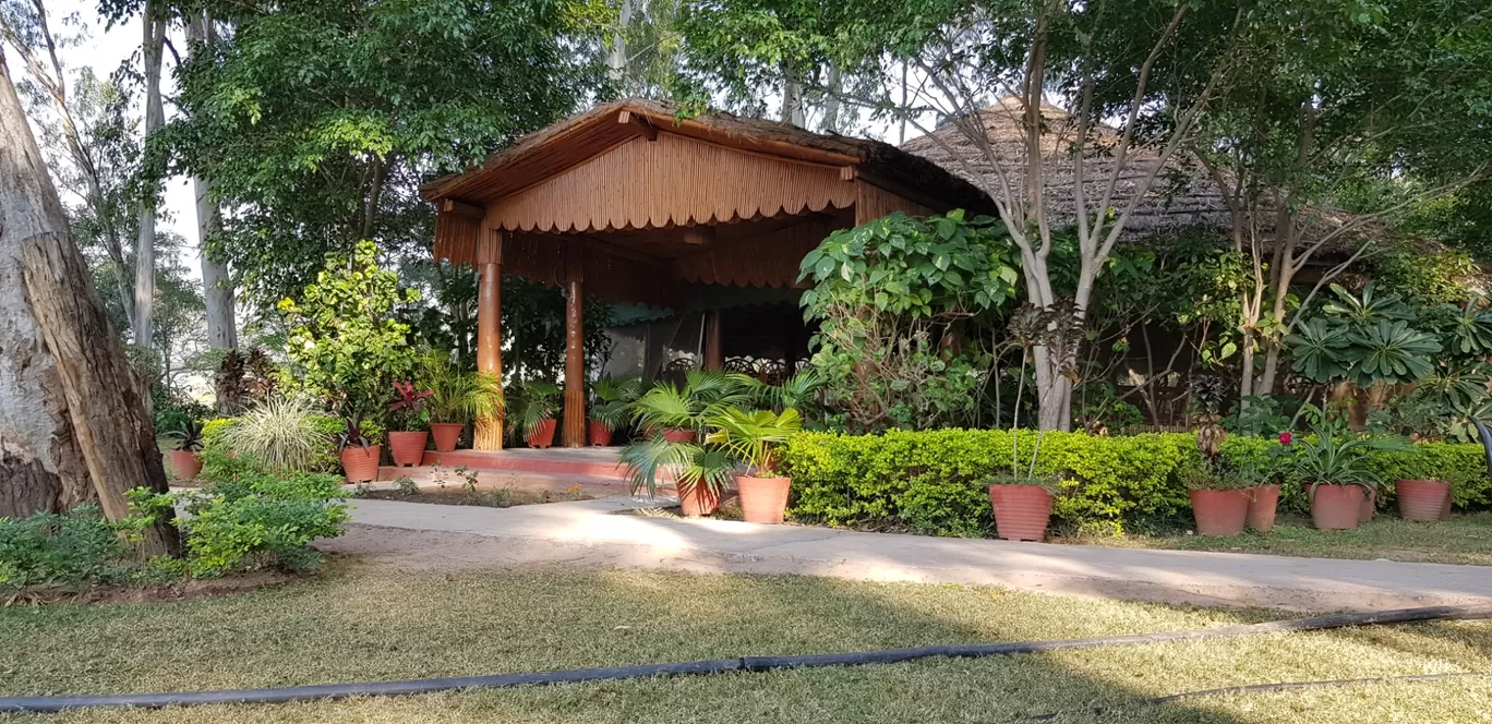 Photo of Morni Hills Resort By suraj kumar
