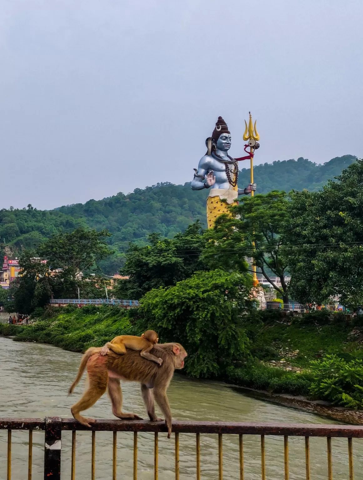 Photo of India By hippiegoluckyme