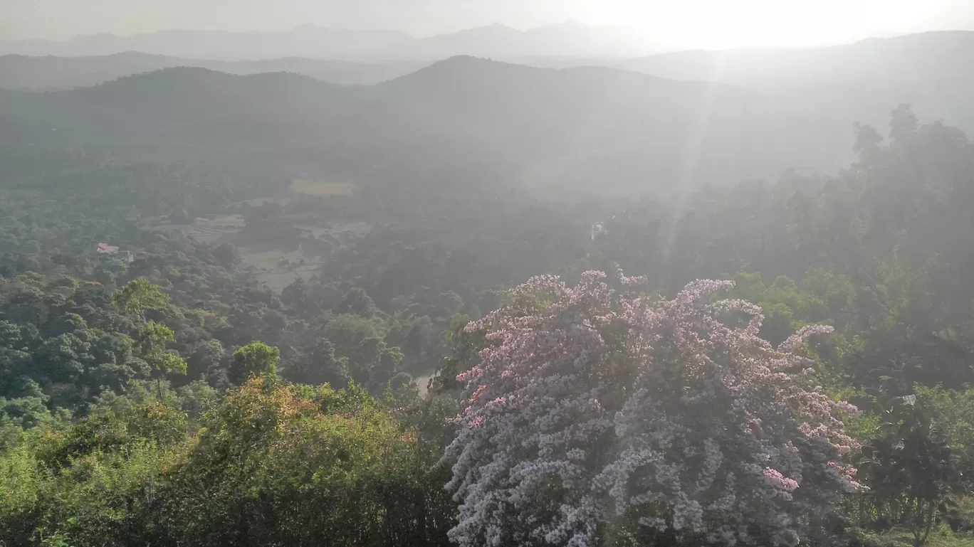 Photo of India By Shelly S.