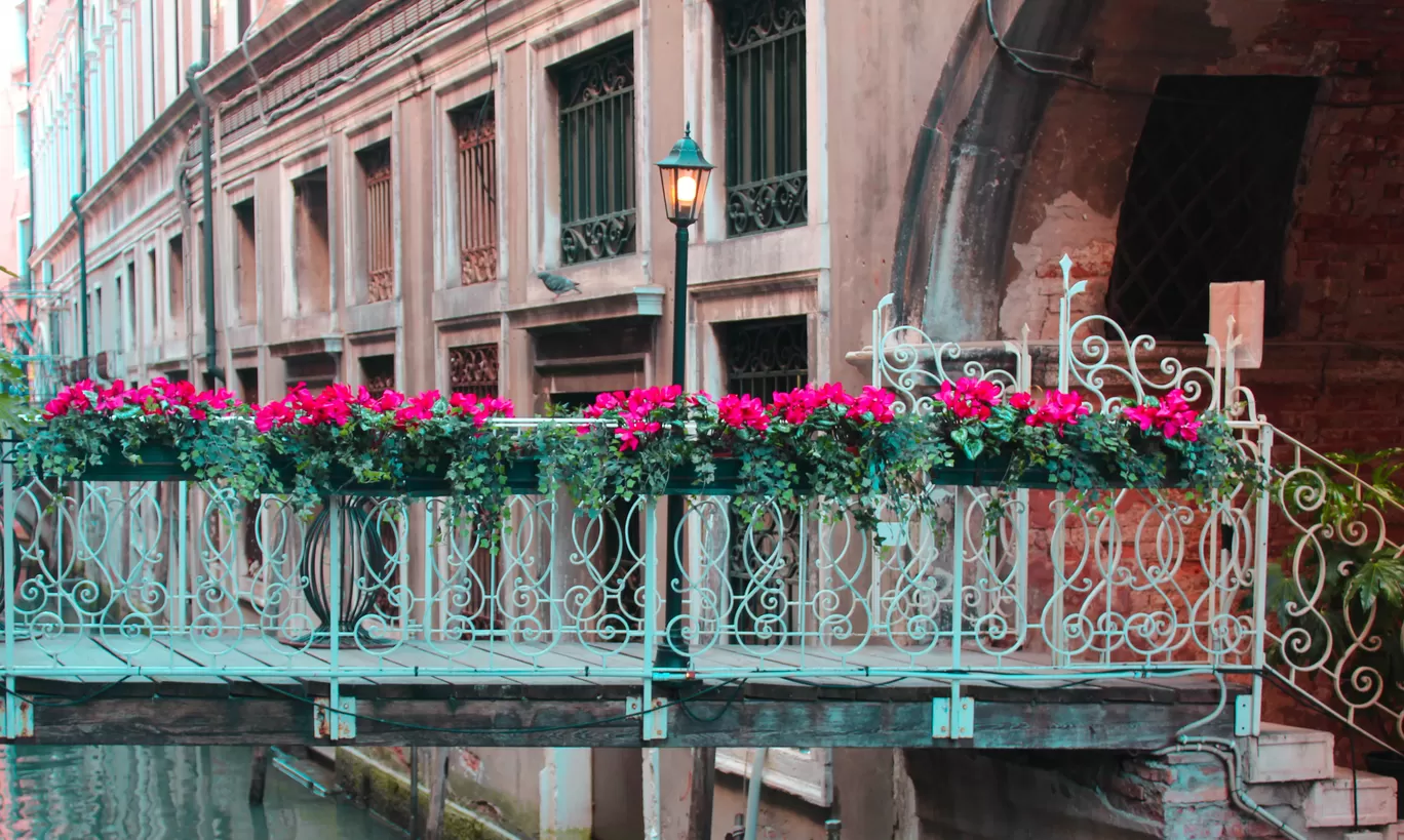 Photo of Metropolitan City of Venice By Purusottam Mohanty