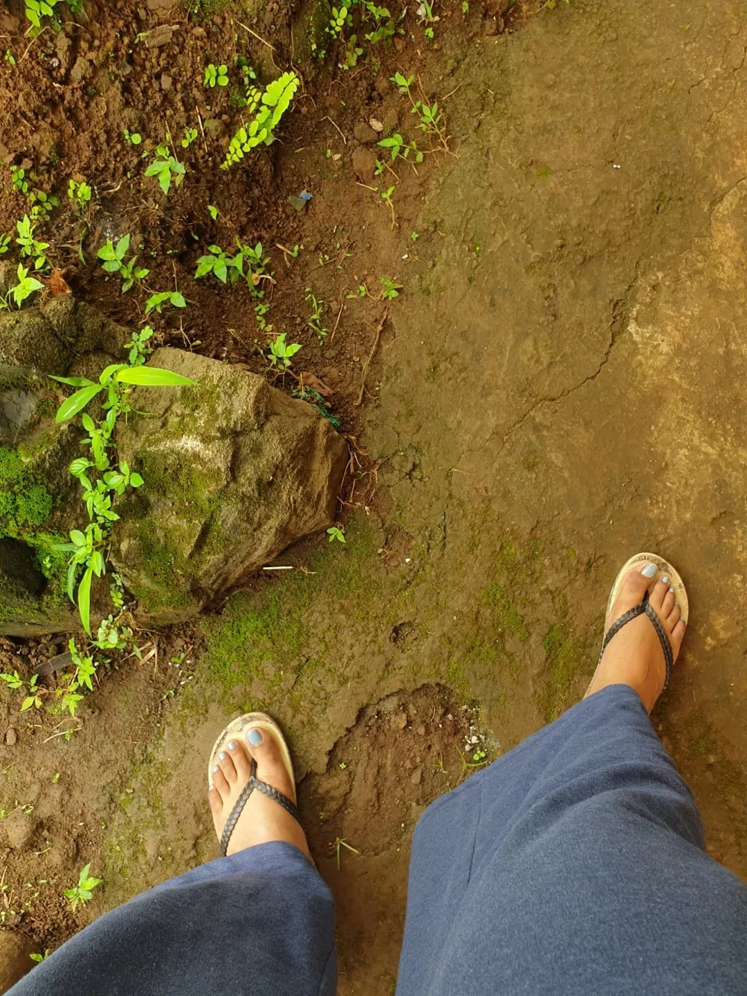 Photo of Dapoli By meenal guglani