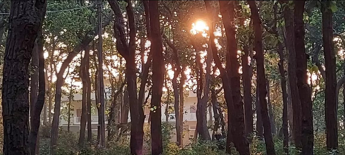 Photo of Panchmarhi Hill Station By Vivekanand Tiwari