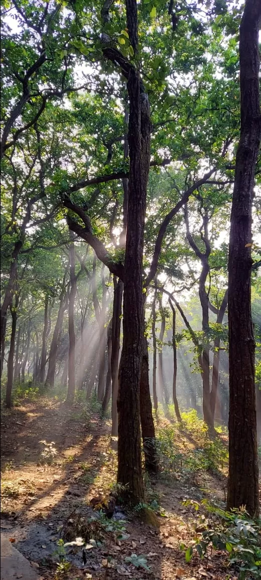 Photo of Panchmarhi Hill Station By Vivekanand Tiwari