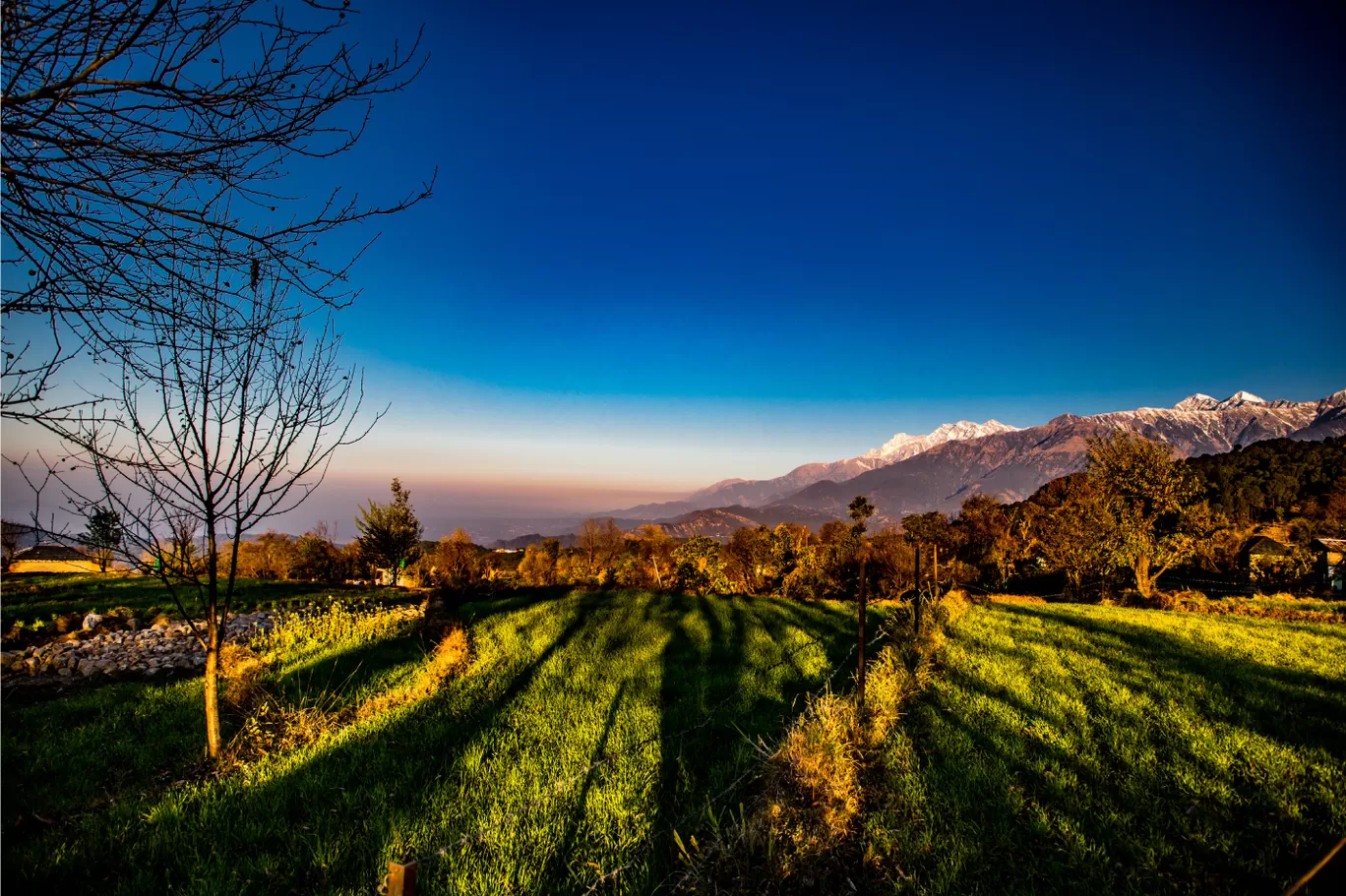 Photo of Himalayas By Kashish Lamba