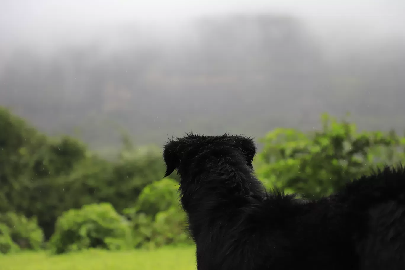 Photo of Lonavala By Kashish Lamba