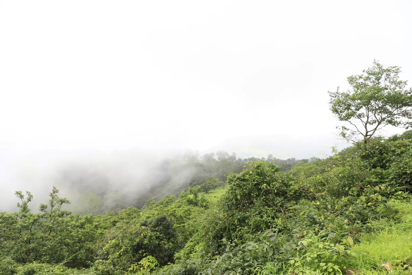 Photo of Lonavala By Kashish Lamba