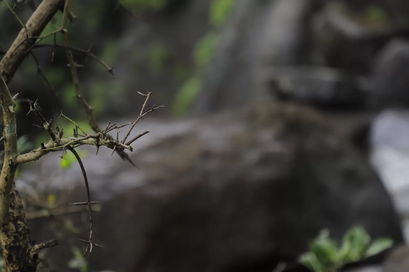 Photo of Lonavala By Kashish Lamba