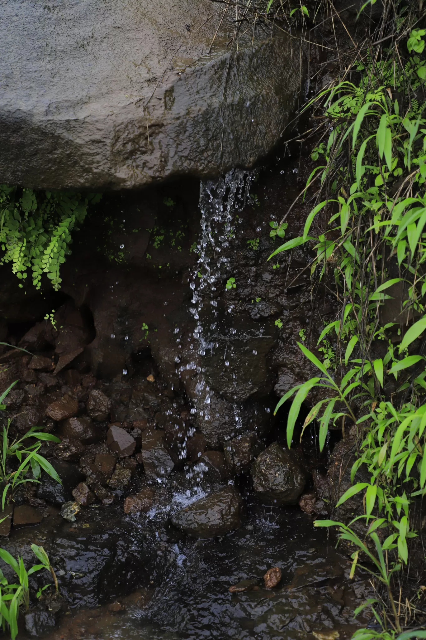 Photo of Lonavala By Kashish Lamba