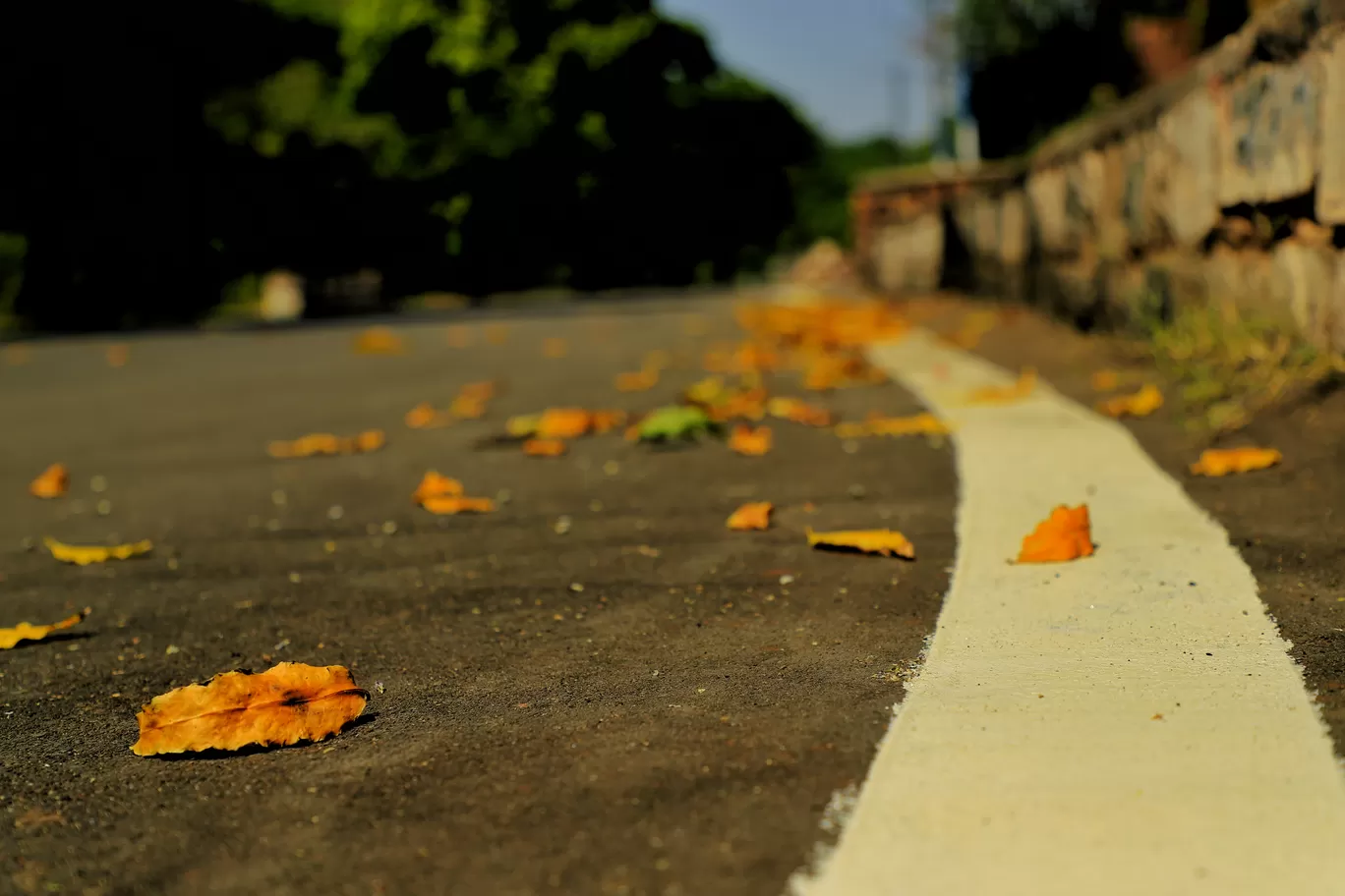 Photo of Mandore Garden By Kashish Lamba