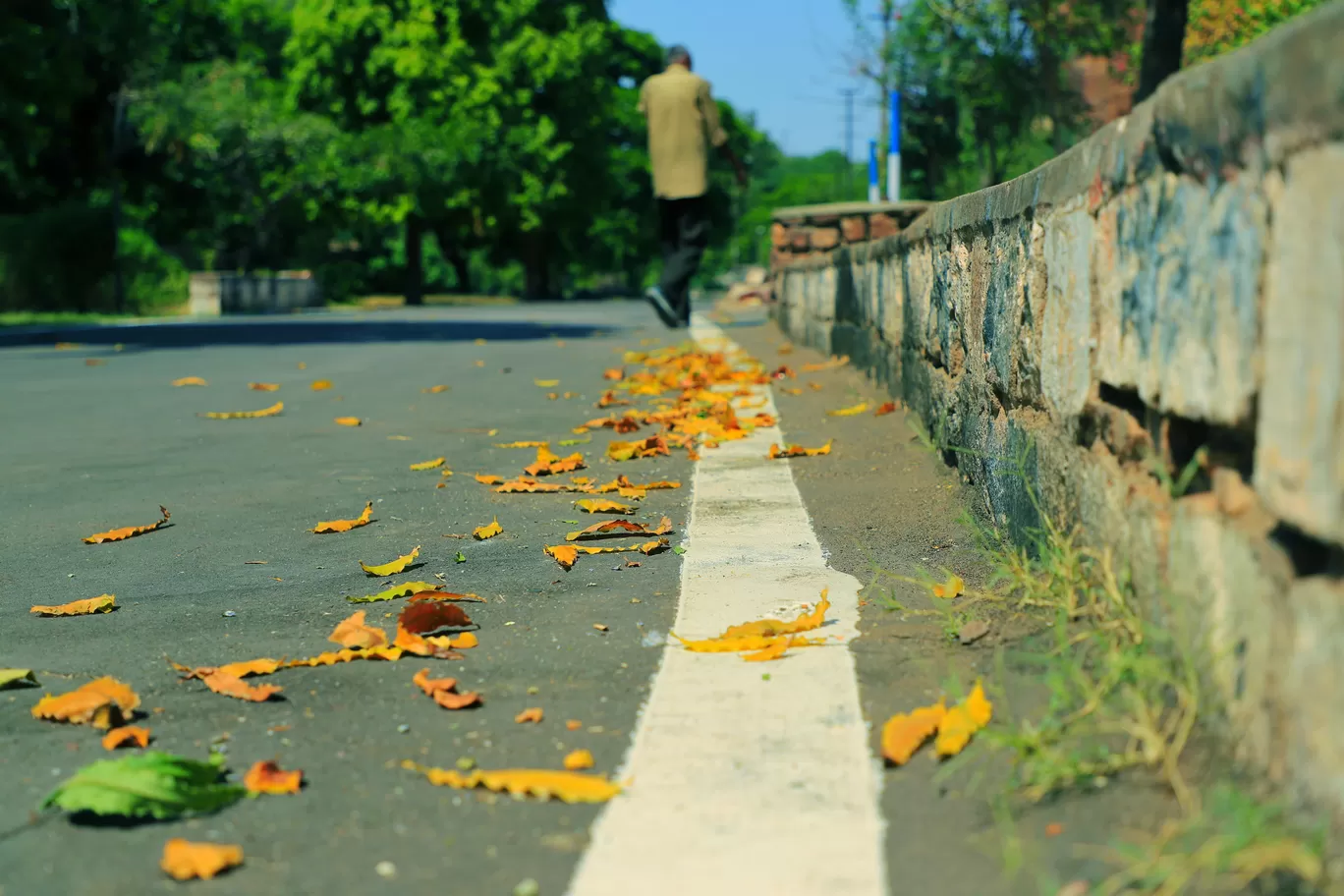 Photo of Mandore Garden By Kashish Lamba
