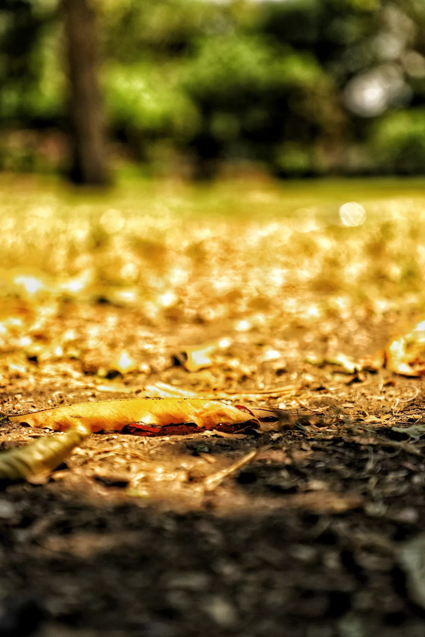Photo of Mandore Garden By Kashish Lamba