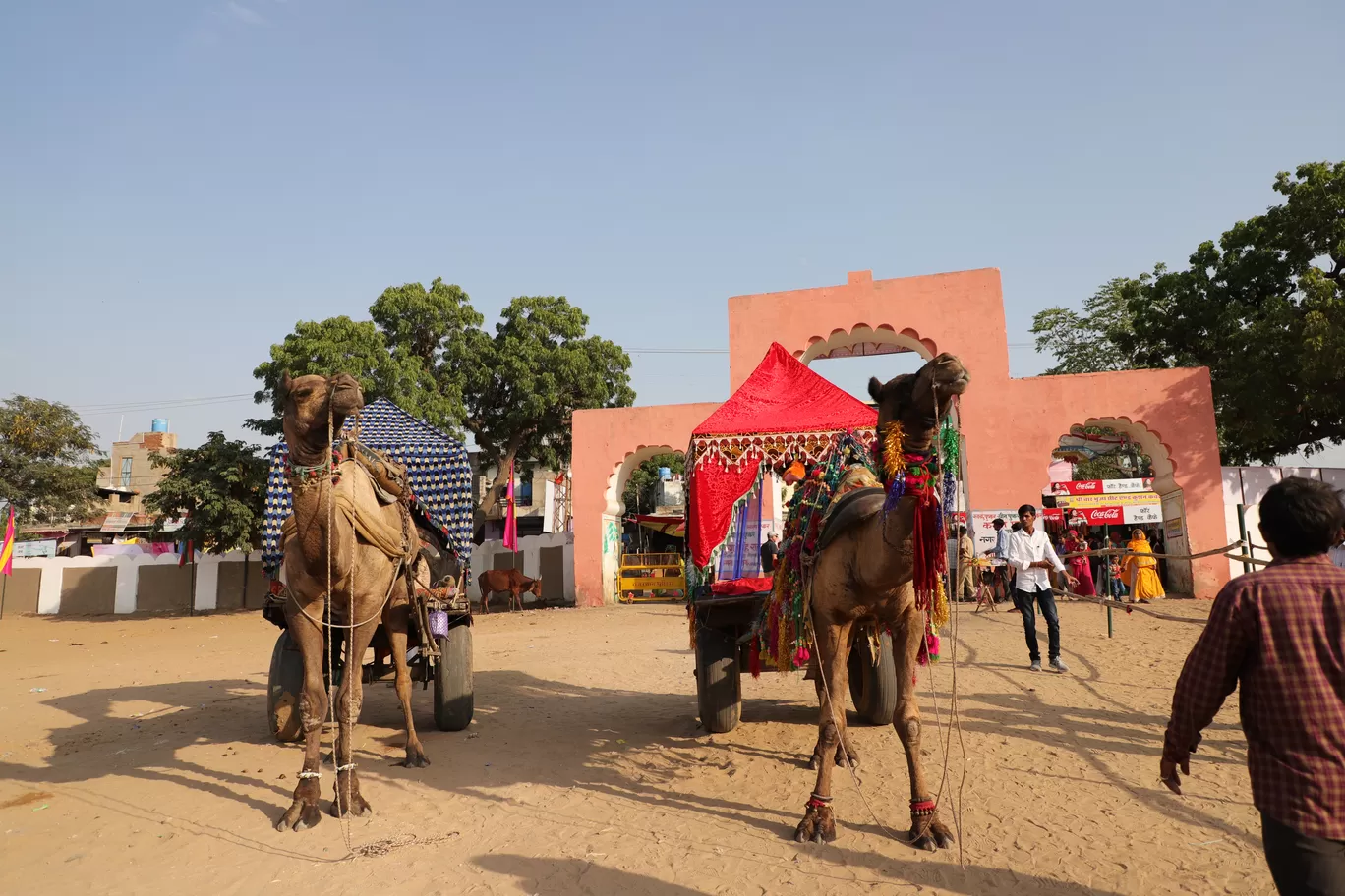 Photo of Pushkar By Kashish Lamba