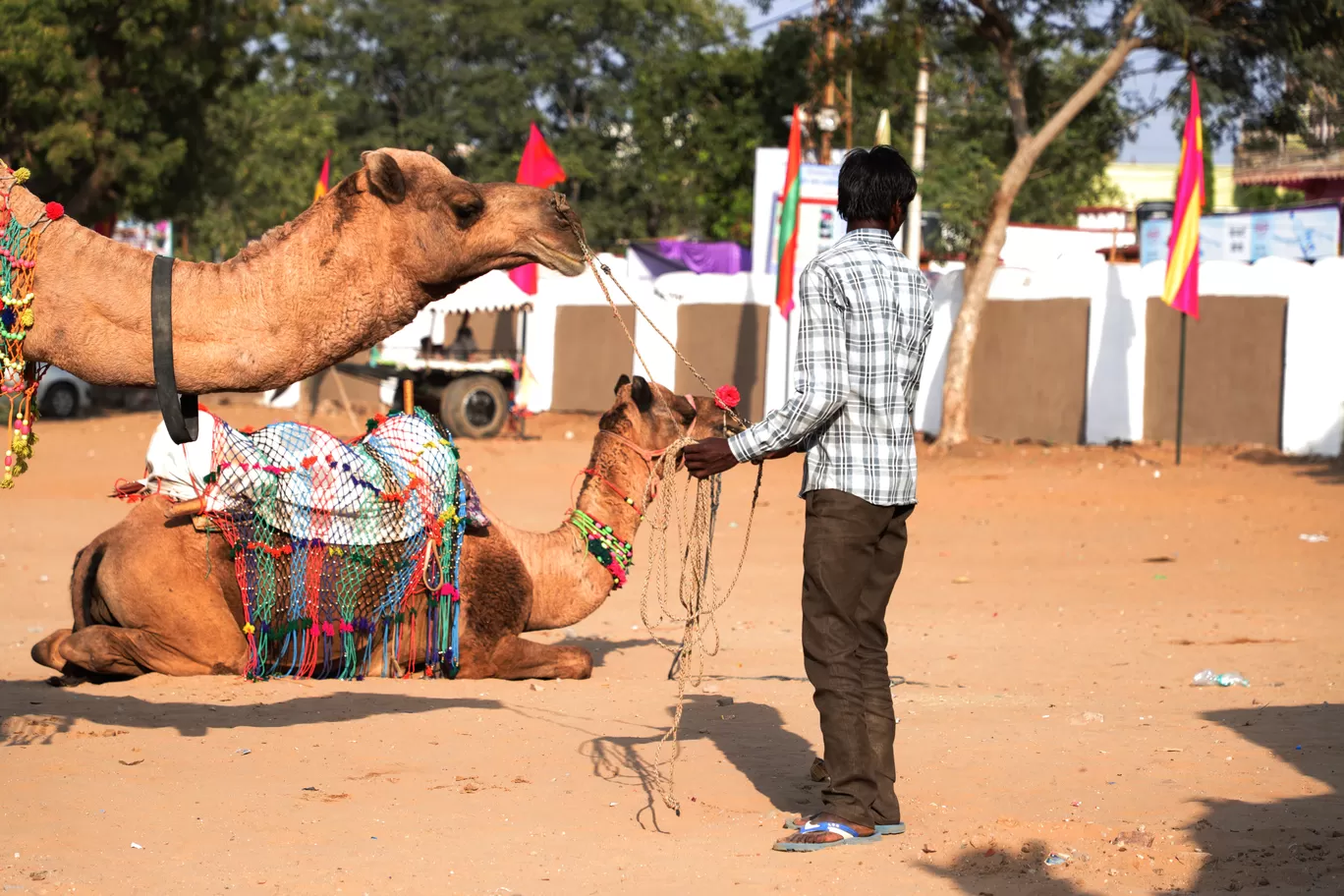 Photo of Pushkar By Kashish Lamba