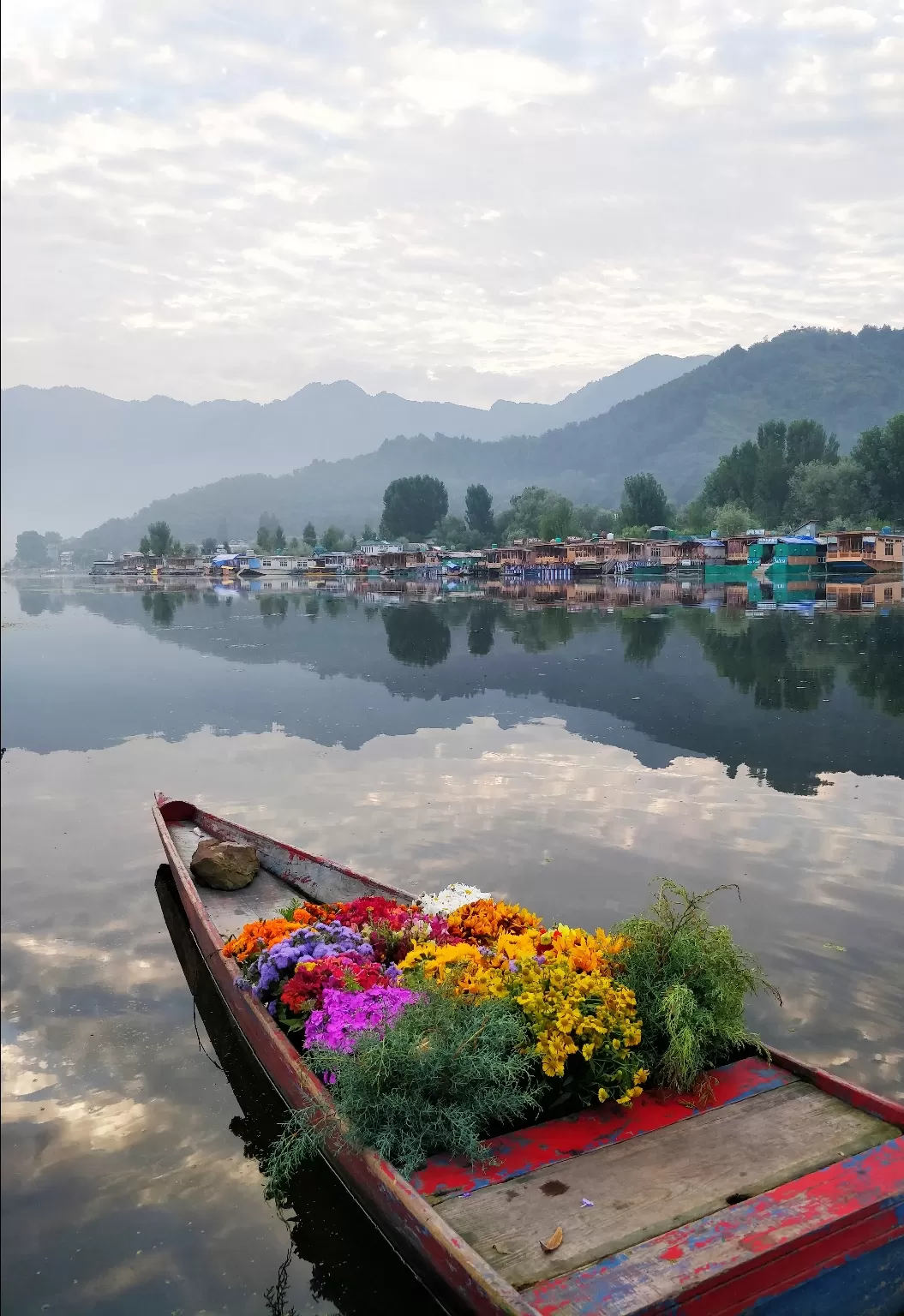 Photo of Jammu and Kashmir By Surbhi Sabharwal