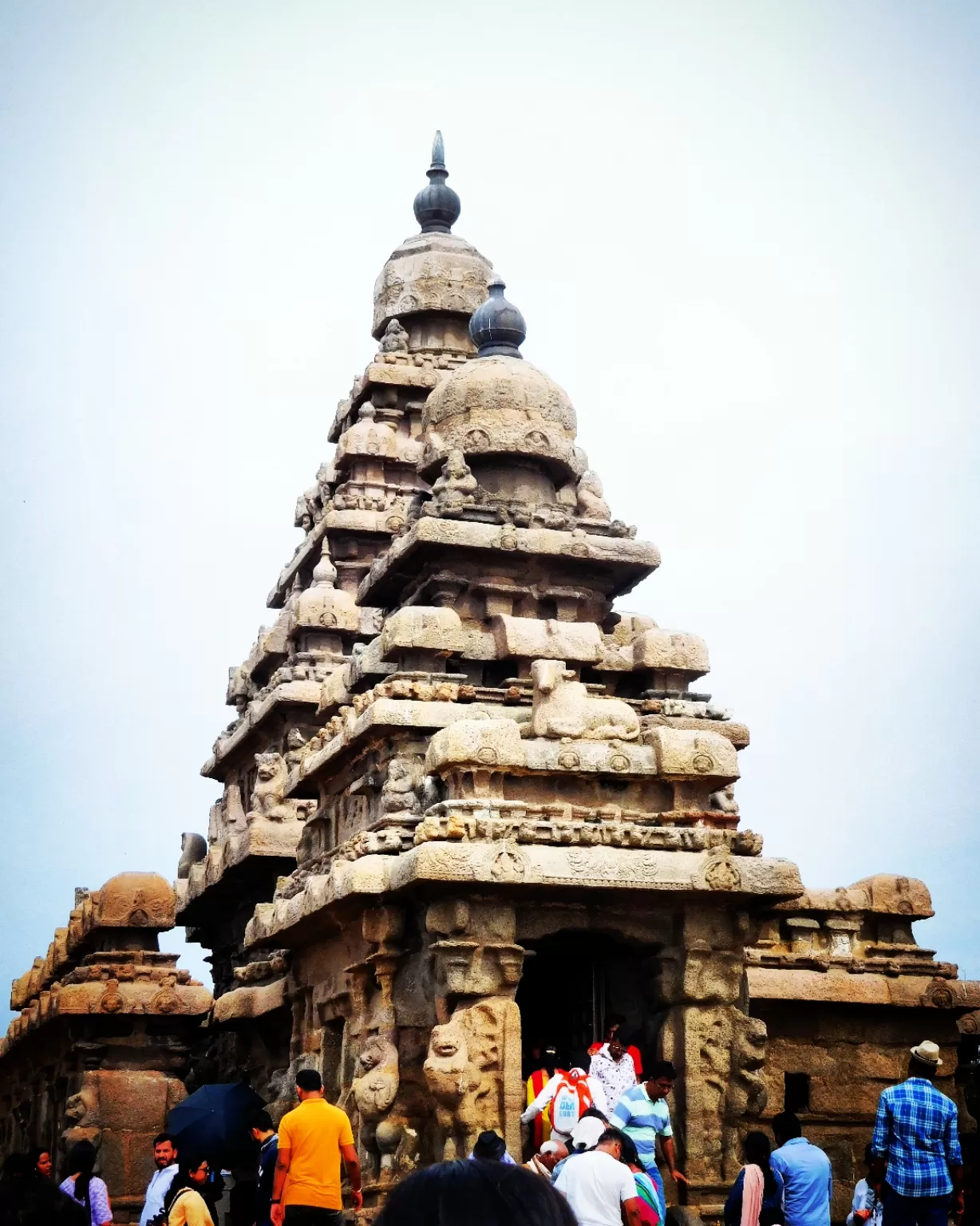 Photo of Shore Temple By Kishore Taggi