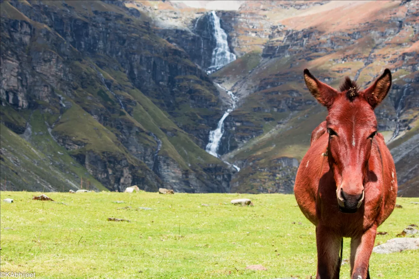 Photo of Rupin Pass By AbhiJeet
