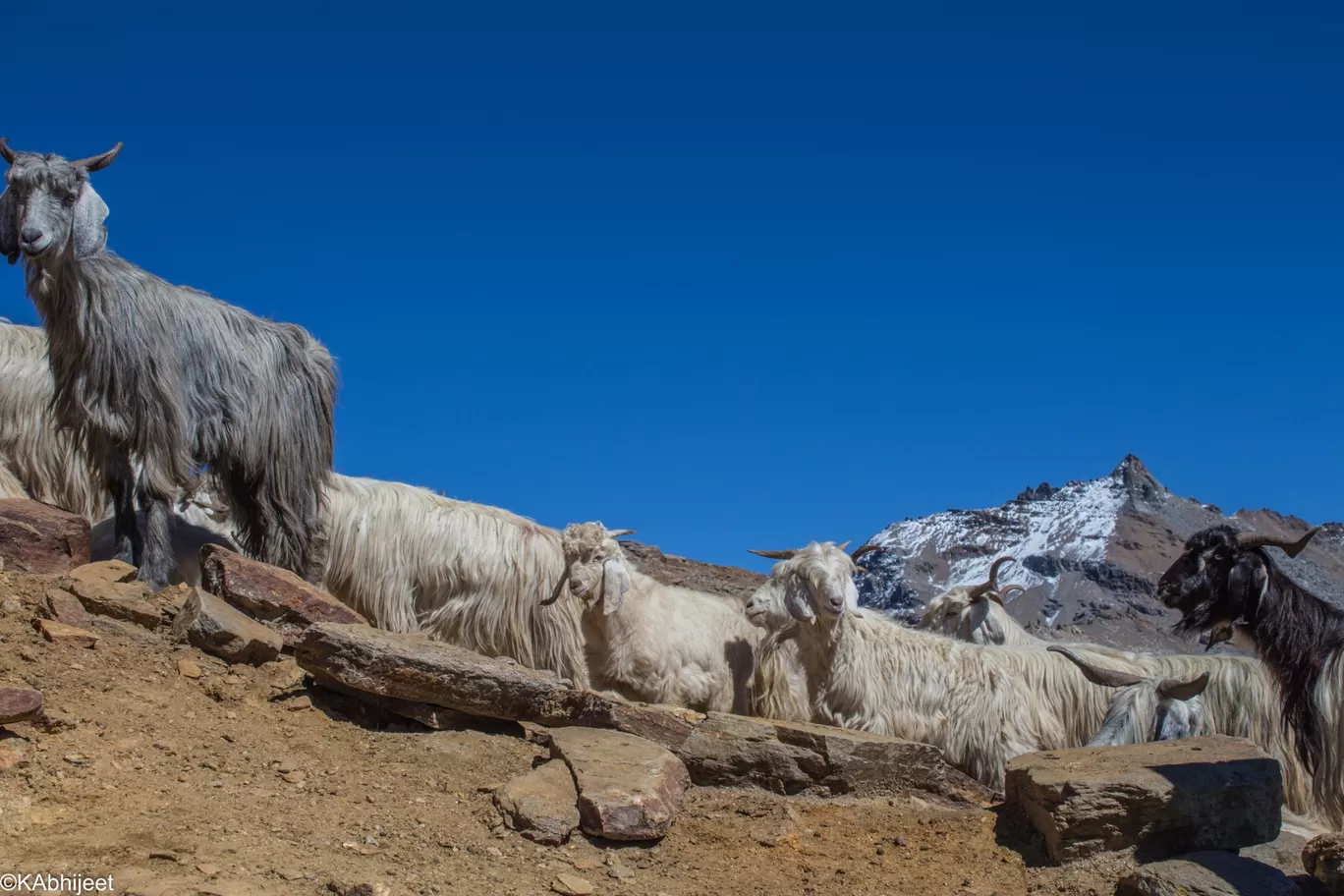 Photo of Rupin Pass By AbhiJeet