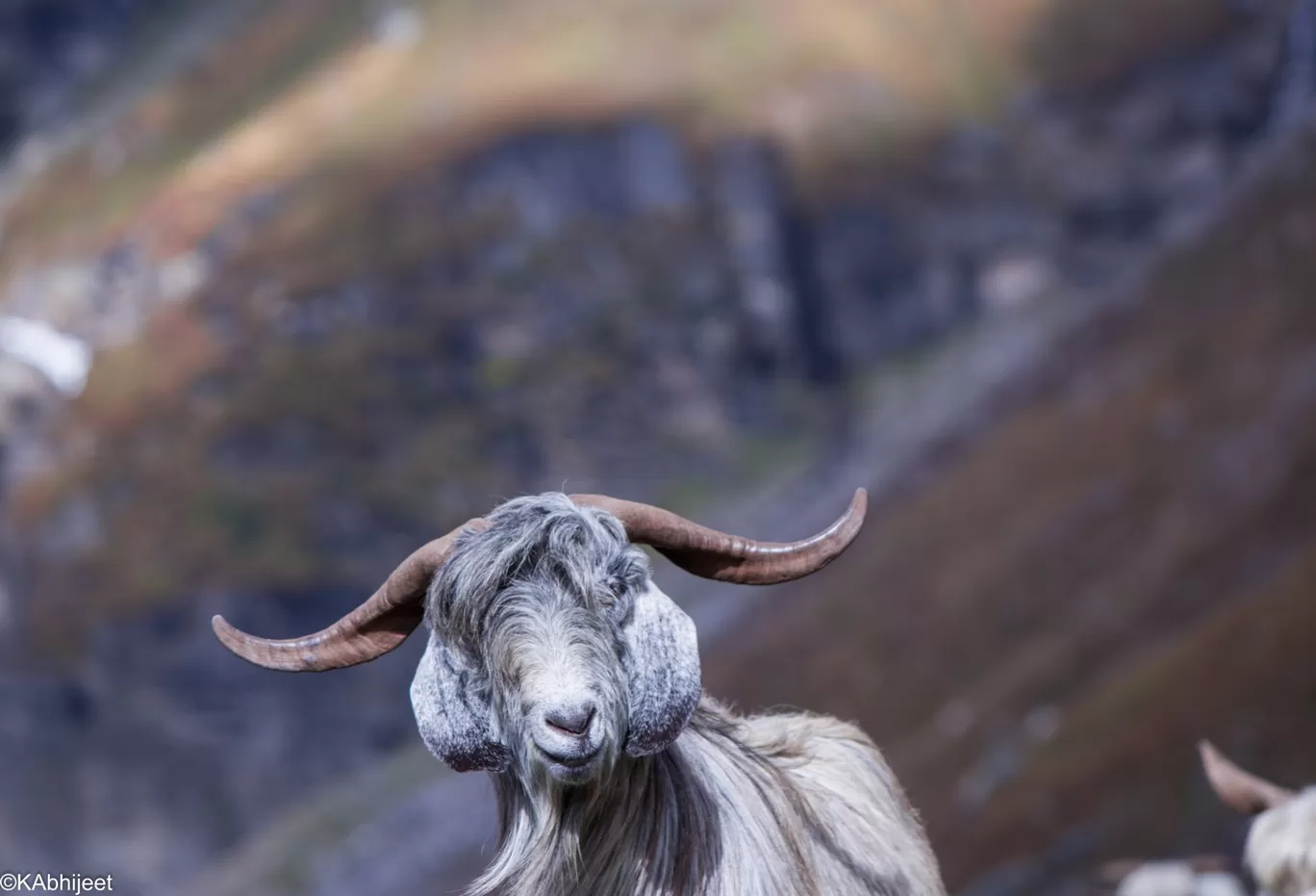 Photo of Rupin Pass By AbhiJeet