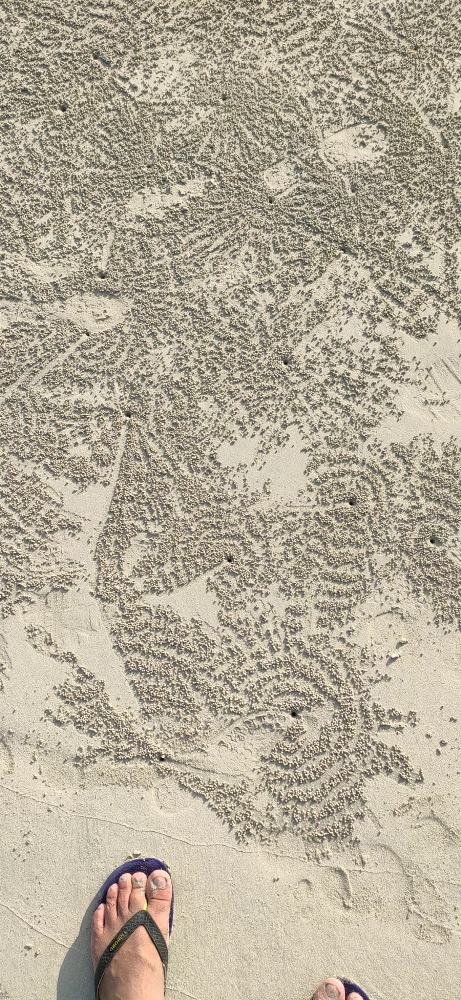 Photo of Radha Nagar beach By Dharmendra Patel
