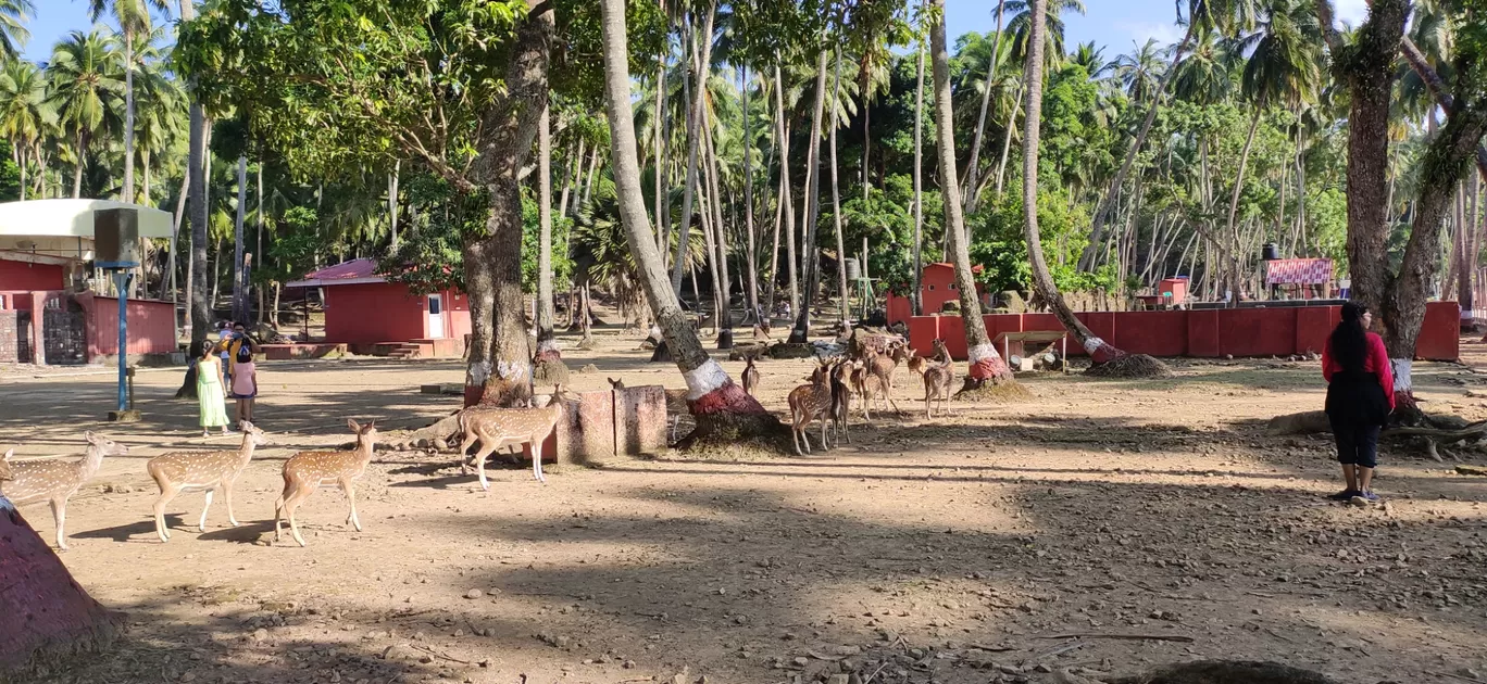 Photo of Ross Island By Dharmendra Patel