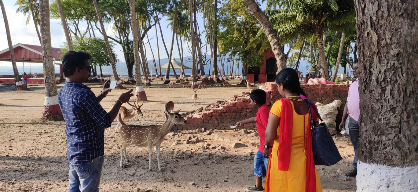 Photo of Ross Island By Dharmendra Patel