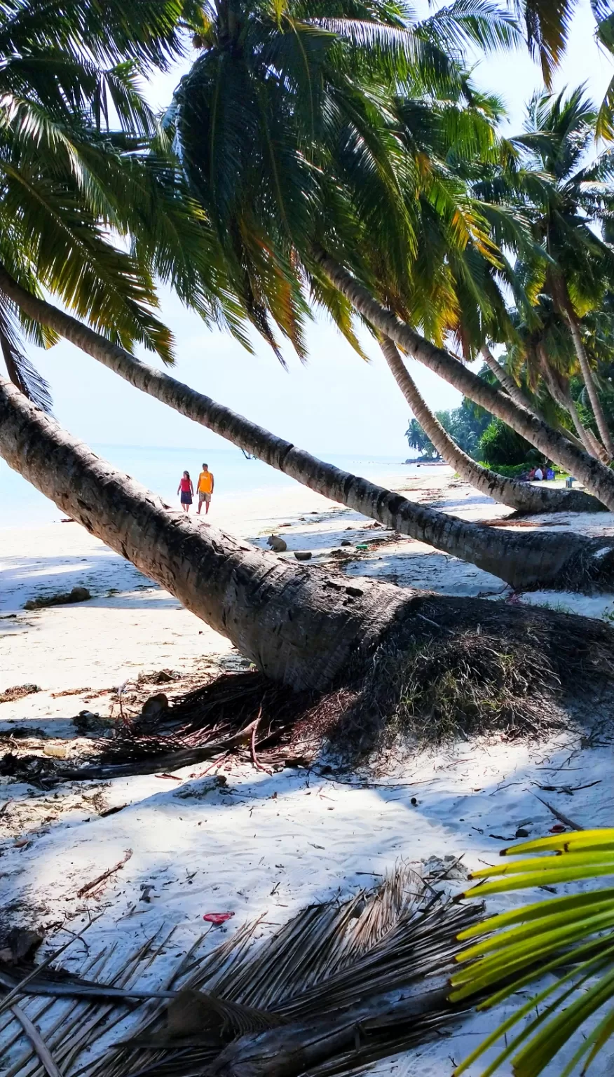 Photo of Vijay Nagar Beach By Dharmendra Patel