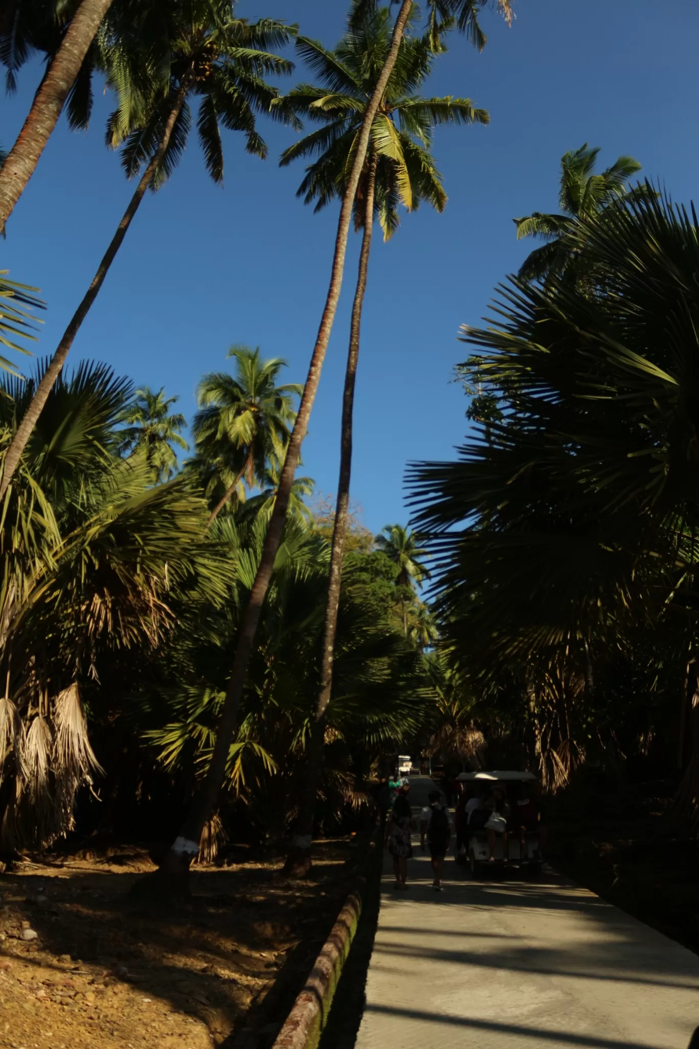 Photo of Ross Island By Dharmendra Patel