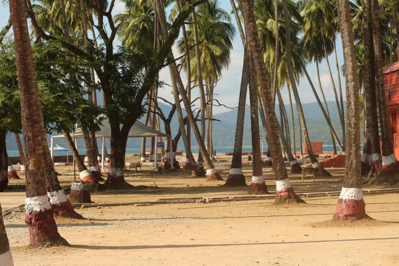 Photo of Ross Island By Dharmendra Patel