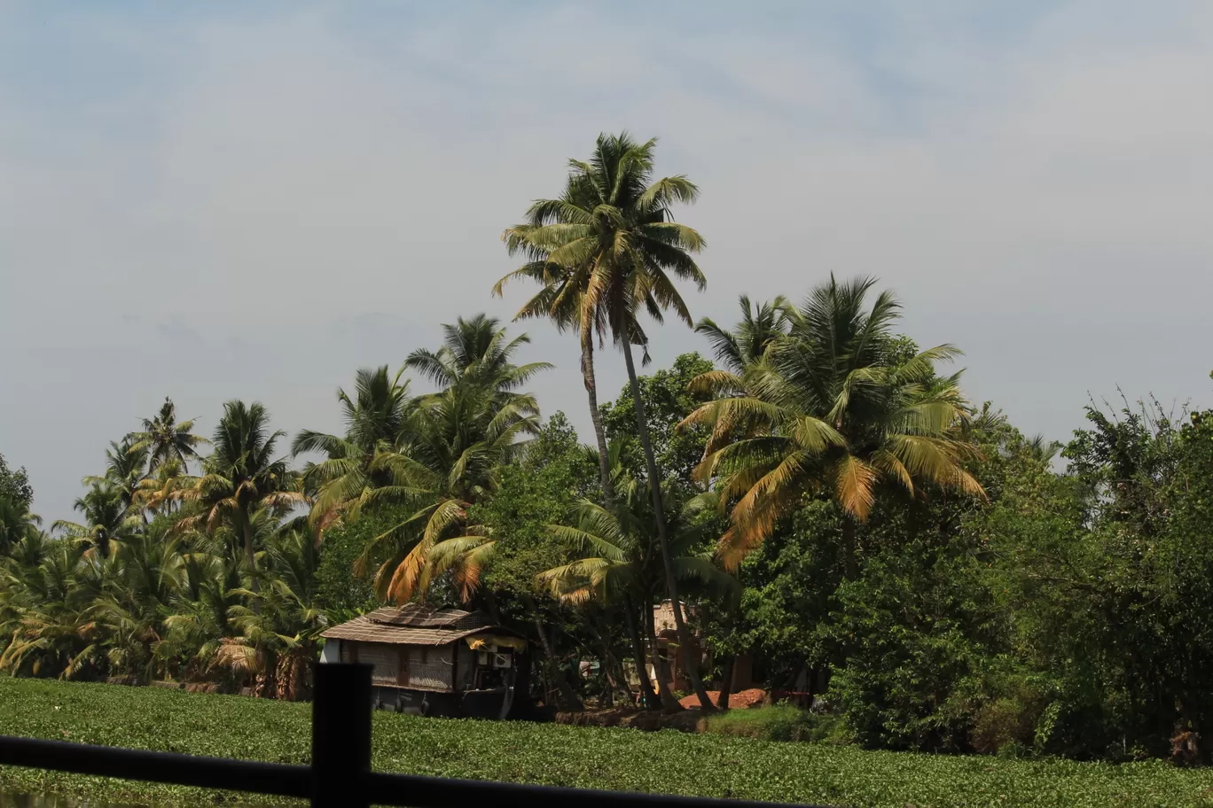 Photo of Kerala By Dharmendra Patel