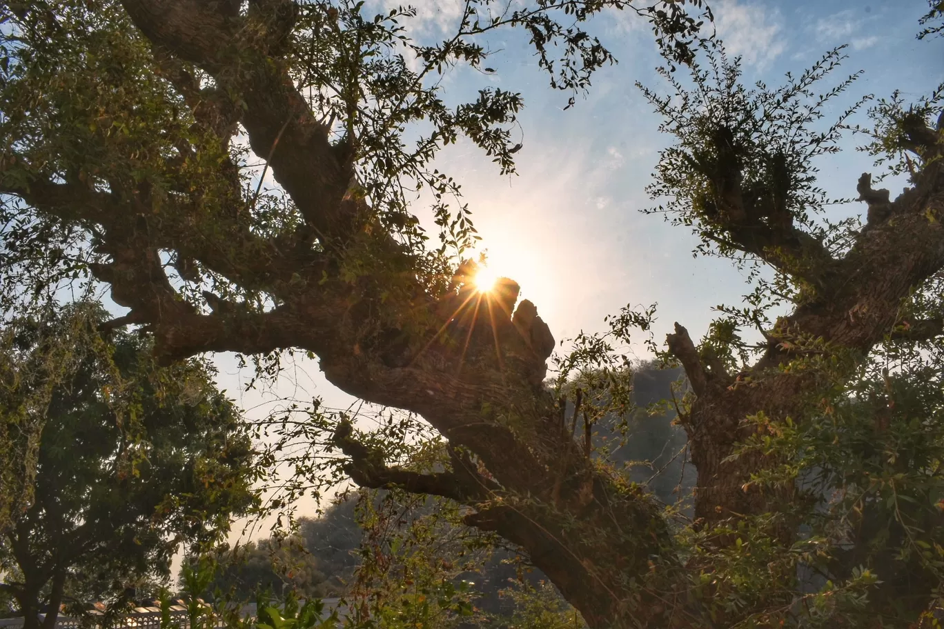 Photo of Jaisamand Lake By Abhishek Shah