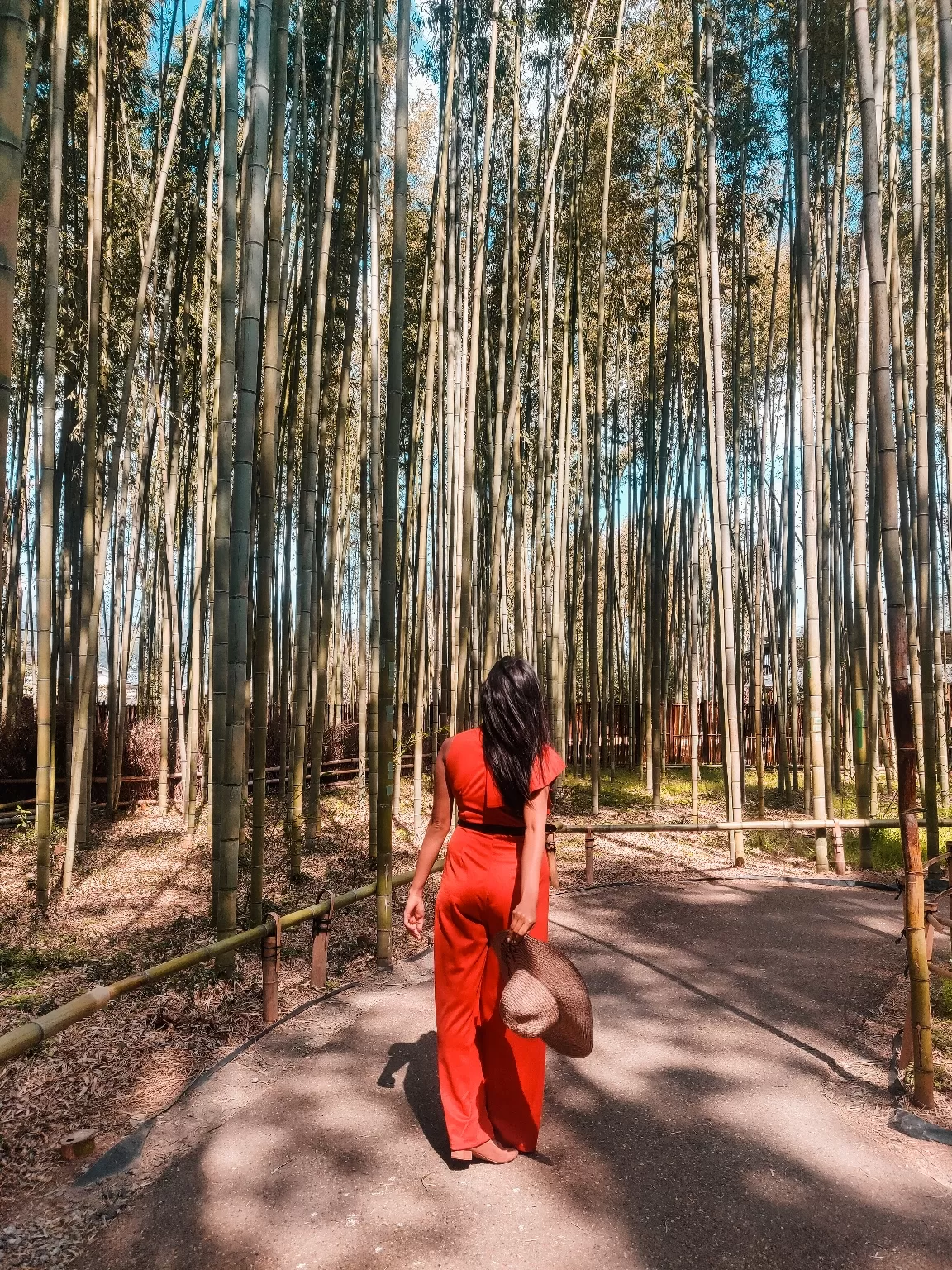 Photo of Arashiyama Bamboo Forest By Shreyabond | Travel in Style