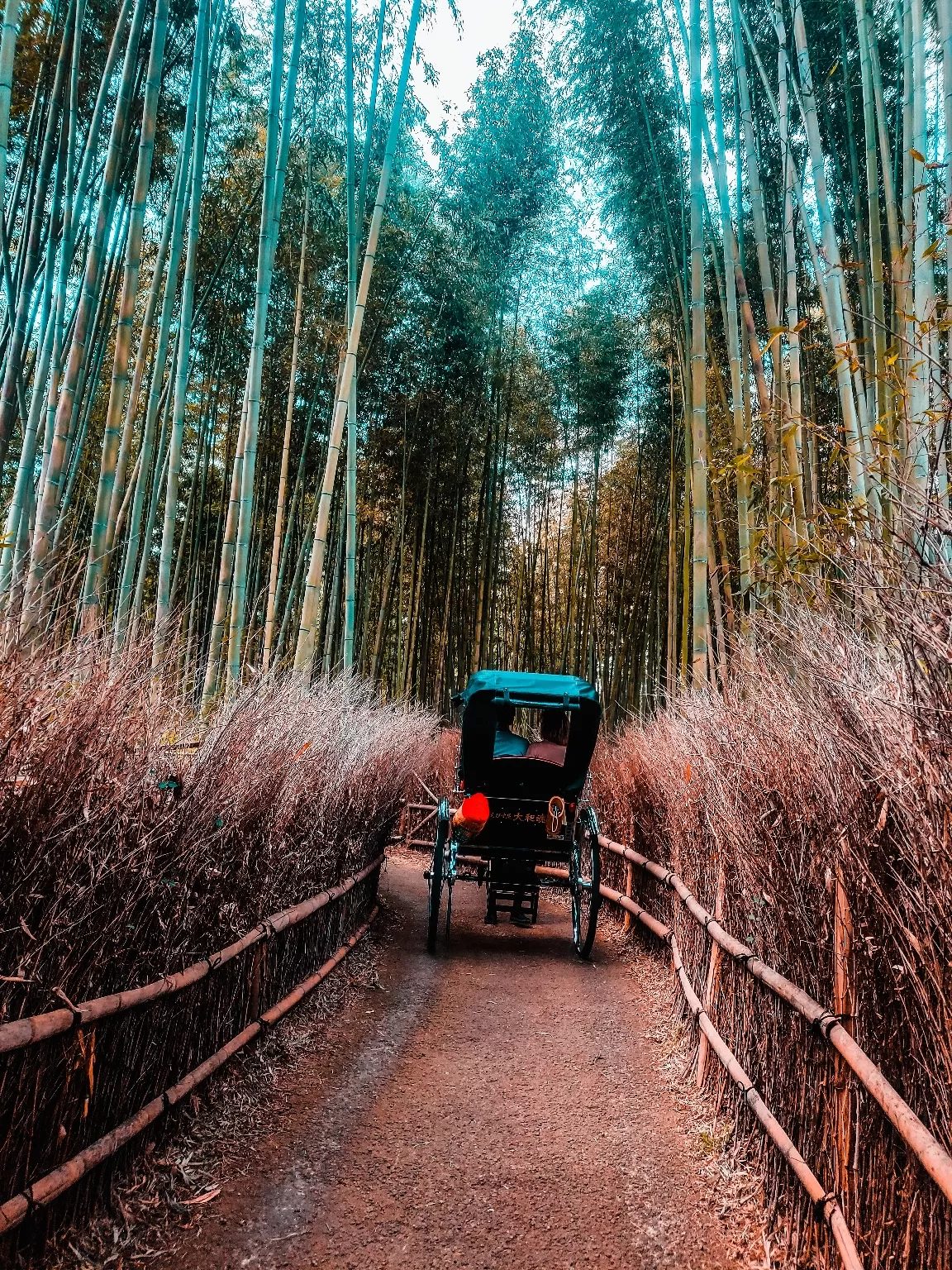 Photo of Arashiyama Bamboo Forest By Shreyabond | Travel in Style